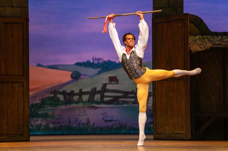 Colas, in yellow tights and printed waistcoat over white shirt, holds a 90 degree arabesque whlle lifting a forked stick with a pink ribbon tied on.