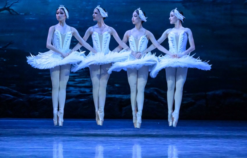 State Ballet of Georgia Swan Lake: four cygnets dance with coordinatination, hands held across their torsos, jumping off the floor at exactly the same height